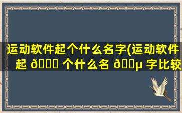 运动软件起个什么名字(运动软件起 🍁 个什么名 🐵 字比较好)